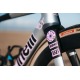 Frame CINELLI Presure 2 2025
