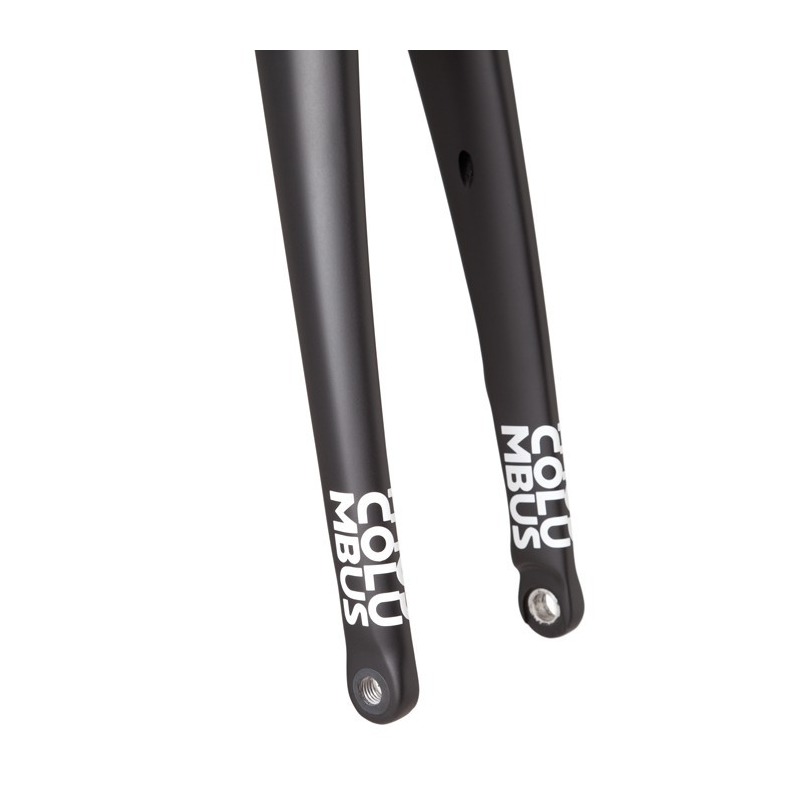 carbon disc fork